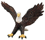 Bald Eagle.jpg